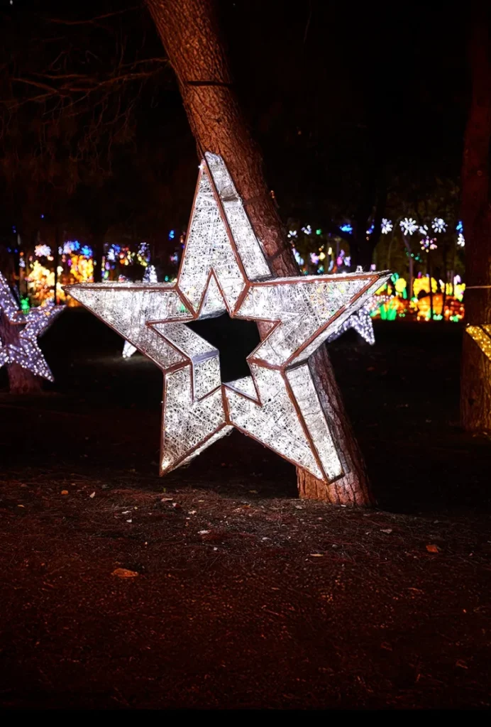 Bosque Estrellas Mágicas Navidades